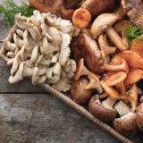 Srpski naučnici vodeći deo tima koji otkriva recept za zdraviji život 5