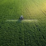 Nova ekonomija: Hektar njive u Srbiji skuplji skoro 4.000 evra nego 2021. 2