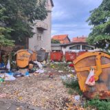 Smeće kao nerešiv problem Zaječaraca: Ili građani bacaju gde šta stignu ili je malo kontejnera 13