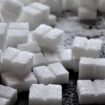 SAD zaustavljaju uvoz šećera proizvedenog u Dominikanskoj Republici zbog prinudnog rada 17