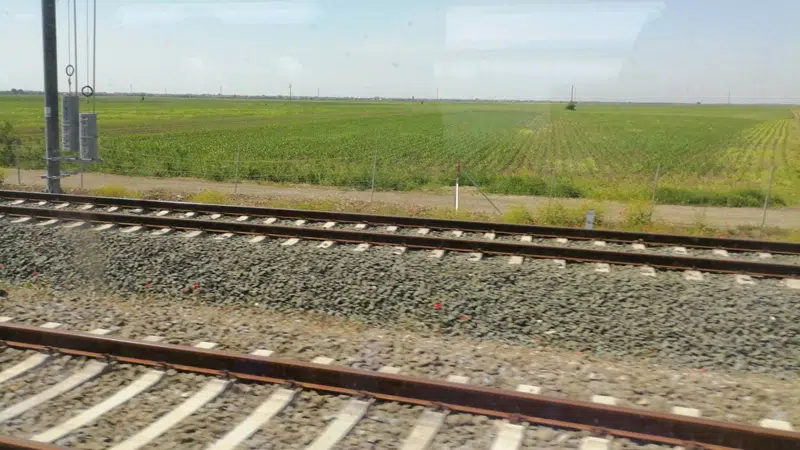 Vesić: Od sredine decembra četiri voza od Beograda do Pančeva 1