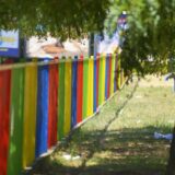 Majka iz Pećinaca koja tri godine pokušava da upiše dete: Tražili da glasam za SNS da bi mi dete bilo primljeno u vrtić 6