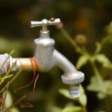 Vanredna situacija u Dimitrovgradu: Zbog nestašice vode izdata naredba, a kazne i do 250.000 dinara 5