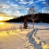 Zatvaranje bazena i smanjenje proizvodnje: Kako će izgledati zima u Evropi? 4