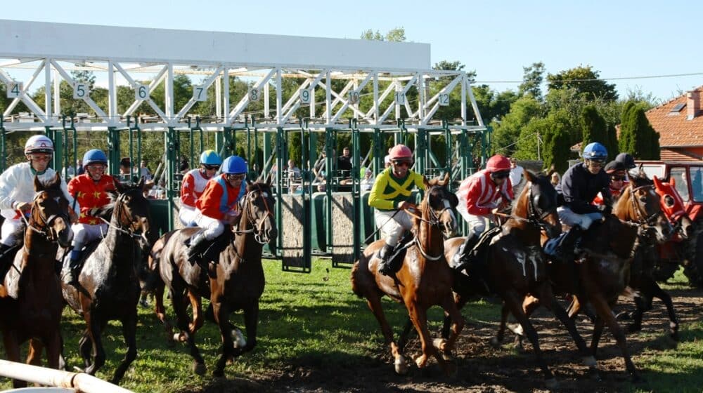Konju “Strpljiv čovek” pehar opštine Bogatić: Završena galopska sezona na mačvanskom hipodromu 1