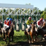 Konju “Strpljiv čovek” pehar opštine Bogatić: Završena galopska sezona na mačvanskom hipodromu 15