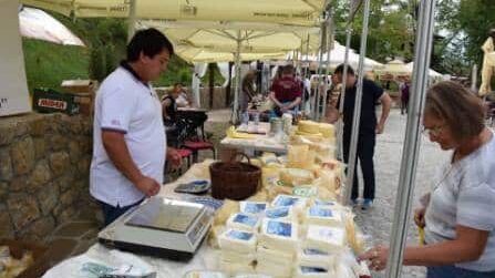 Festival sira i kačkavalja 17. septembra u Pirotu 1