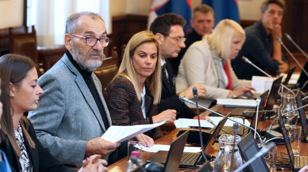 Kako je izgledala sednica Odbora za kulturu i informisanje: Staša Stojanović oponirala poslanici Dveri, Bakarec prozivao Sinišu Kovačevića 1