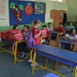 Poniženi, siromašni i bez nade: U kakvim okolnostima prosvetni radnici danas obeležavaju svoj praznik? 11