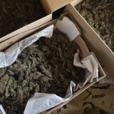 Novosađanin držao 4,7 kilograma marihuane u kući 10