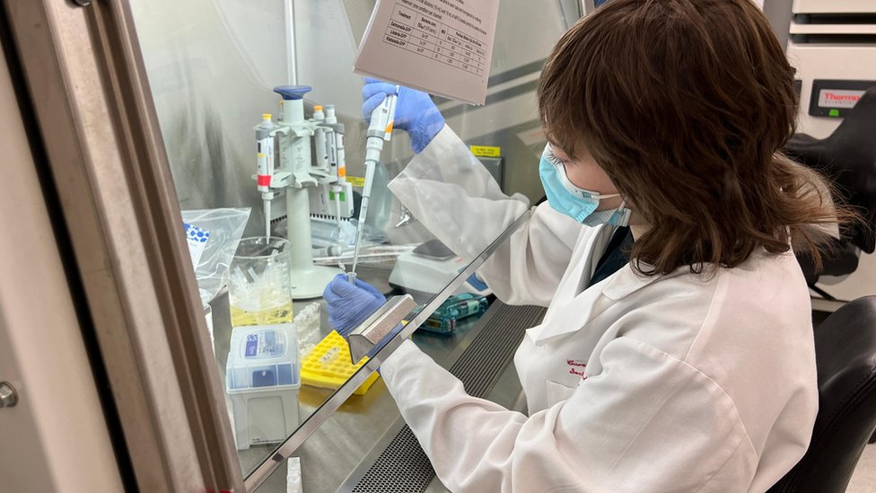 Zdravlje i kuga: Crna smrt od pre 700 godina utiče na ljude i danas 3 Tissue analysis