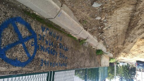 "Svi su bar jednom izvrnuli zglob": Stanovnici Makedonske ulice u Vranju hodaju po blatu i zemlji 10