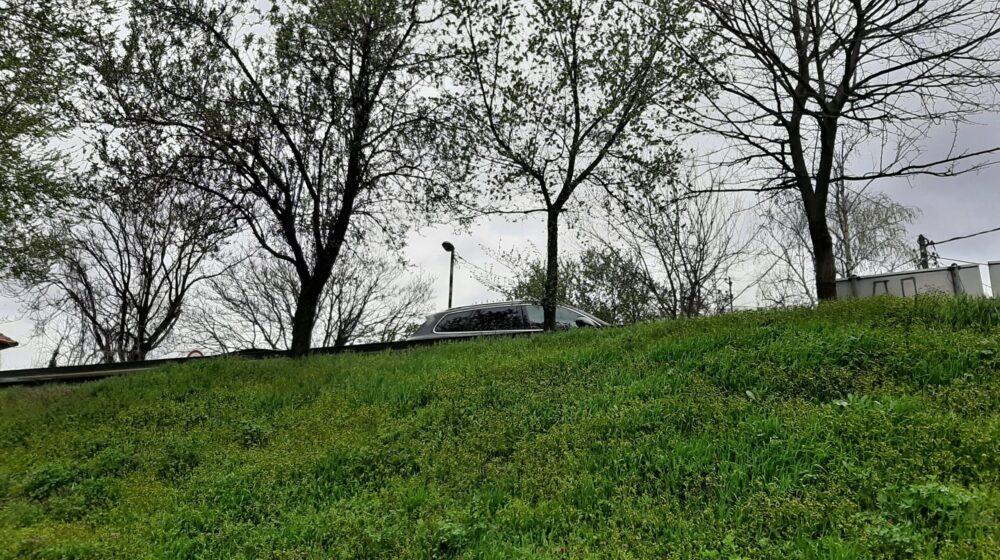 "Više zgrada nikne, nego što drveća olista": Zrenjaninci u čudu šta se dešava u njihovom gradu 1