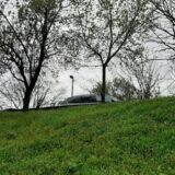 "Više zgrada nikne, nego što drveća olista": Zrenjaninci u čudu šta se dešava u njihovom gradu 9