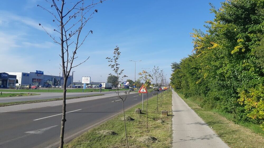 “Zelena oaza – Subotica”: Stradao deo sadnica na Segedinskom putu i na deonici prema Đurđinu 1