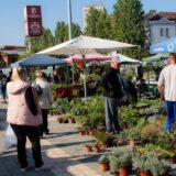 Poslednja Novosadska cvetna pijaca danas i sutra kod SPENS-a 12