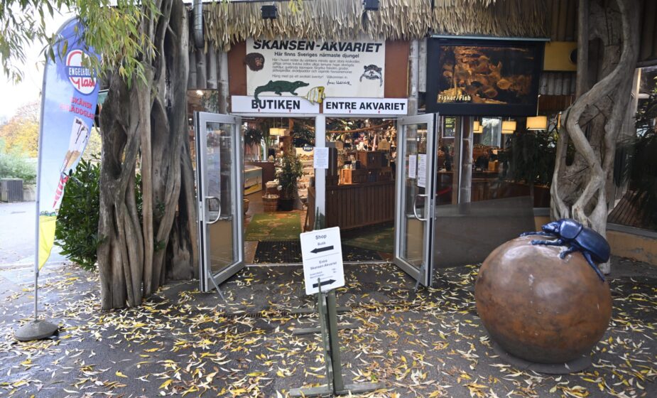 Odbegla kobra Hudini vratila se u ograđeni prostor u švedskom zoološkom vrtu posle nedelju dana 1