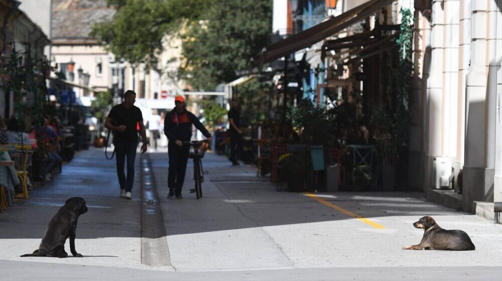 Tri najveće stavke koje udaraju po džepu građane Srbije pred zimu 1