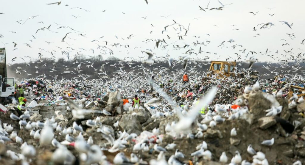 Povodom ekskluzivne premijere u Beogradskom dramskom pozorištu Jug Radivojević za Danas: Režija Franka Kastorfa je istorijski događaj za čitav naš teatar 2