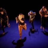 Konferencija o evropskom projektu FATE, umetničkom povezivanju migranata izvođača iz čitavog sveta 1