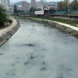 Dok je ministarka obećavala rešavanje velikih ekoloških problema Užica, užička reka pobelela od zagađenja otpadnim vodama 11