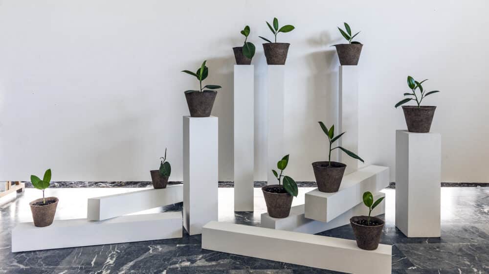 Na početku „Ne zaboravi da dišeš“ 1