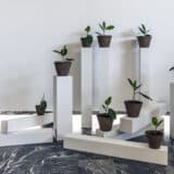 Na početku „Ne zaboravi da dišeš“ 4