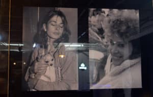 Miloš Cvetković Cvekla, jedan od najboljih srpskih fotoreportera iz Užica, otkriva tajnu šta se krije iza blještavila Kana i Monte Karla 4 Miloš Cvetković Cvekla, jedan od najboljih srpskih fotoreportera iz Užica, otkriva tajnu šta se krije iza blještavila Kana i Monte Karla 4