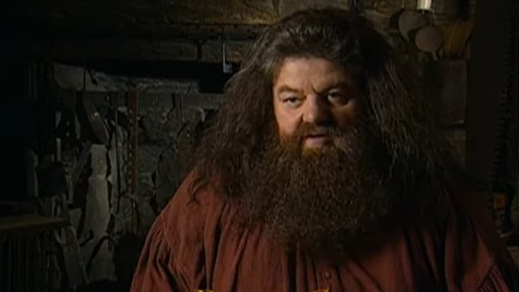 Preminuo Robi Koltrejn, glumac koji je tumačio Hagrida u Hari Poteru 1