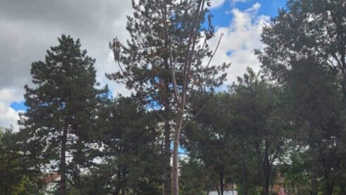 IMG-50a71e5df6faa2f7a7cc96005131566c-V "Više zgrada nikne, nego što drveća olista": Zrenjaninci u čudu šta se dešava u njihovom gradu 4