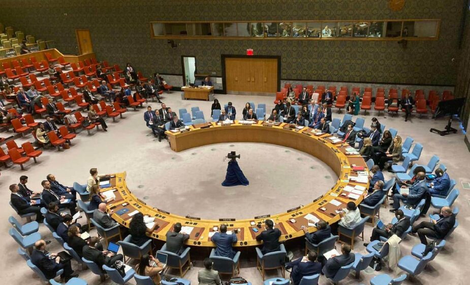 Dveri: Sednicu Saveta bezbednosti UN da zatraže Rusija i Kina 1