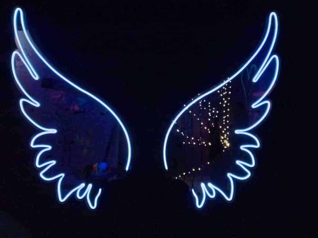 Muzej selfija oduševio Subotičane: “Kao da se vrate u neko detinjstvo” 2