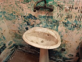 Muzej selfija oduševio Subotičane: “Kao da se vrate u neko detinjstvo” 15