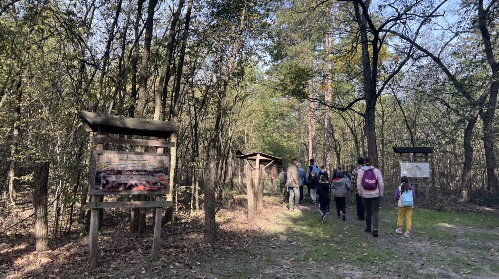 Učenici se upoznali sa biljnim i životinjskim vrstama u subotičkim šumama 1