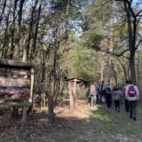 Učenici se upoznali sa biljnim i životinjskim vrstama u subotičkim šumama 11