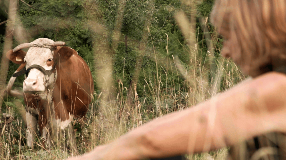 Premijera dokumentarca sa požeške „Interakcije“ na festivalu u Lajpcigu 1