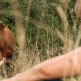 Premijera dokumentarca sa požeške „Interakcije“ na festivalu u Lajpcigu 6