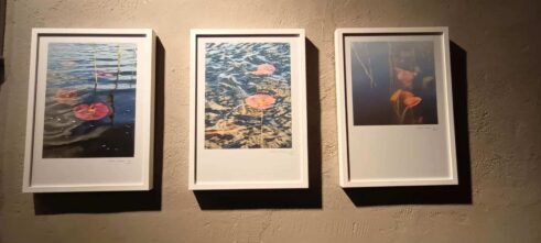 Izložba Nataše Komatine 2 Otvorena izložba fotografija autorke Nataše Komatine u Beogradu, pod nazivom "Sve strane cveta" 4