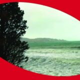 Nova knjiga "Neozbiljnost", pesnička hronika Tihomira Brajovića u izdanju Arhipelaga 7