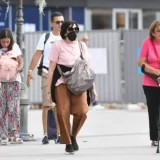 Još 1.426 osoba obolelo od virusa korona, 31 osoba priključena na respirator 13