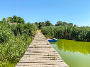 U kom je stanju Palićko jezero i da li će ikad biti dostupno kupačima 3