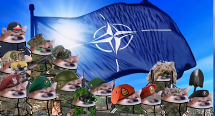 Virtuelna vojska koja razoružava ruske dezinformacije: Kako je nastala onlajn Severnoatlantska organizacija NAFO 1