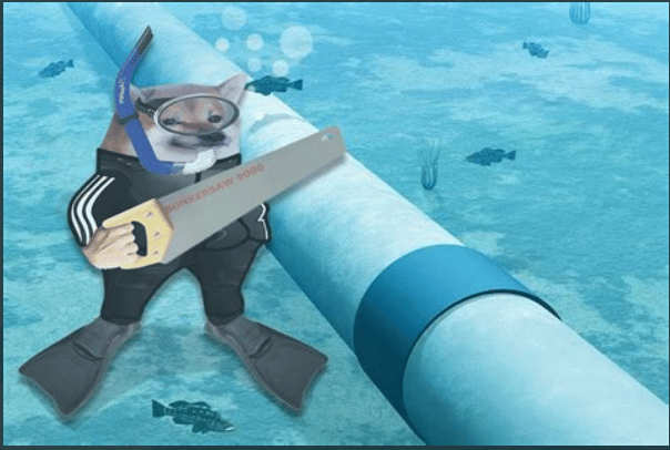 Virtuelna vojska koja razoružava ruske dezinformacije: Kako je nastala onlajn Severnoatlantska organizacija NAFO 3