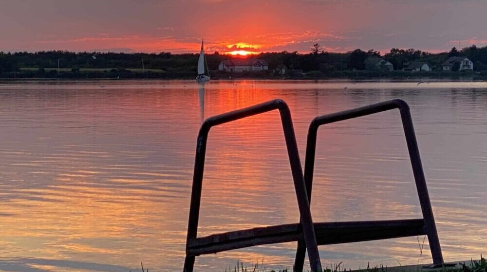 U kom je stanju Palićko jezero i da li će ikad biti dostupno kupačima 1