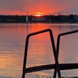 U kom je stanju Palićko jezero i da li će ikad biti dostupno kupačima 5