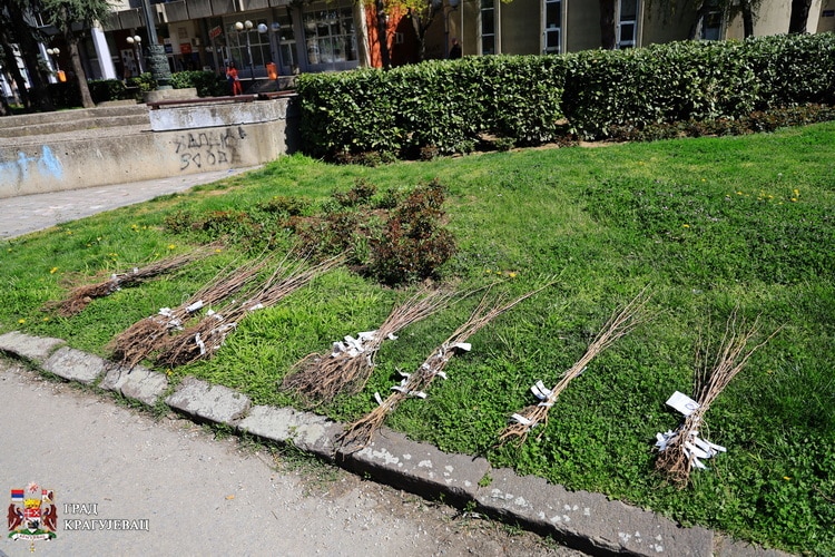 Kragujevac je prvi grad u Srbiji koji je doneo zabranu kakve nema u državi 3