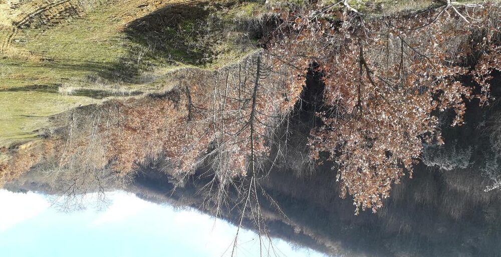 Nastavlja se potraga za nestalom staricom u Poljanici kod Vranja 1