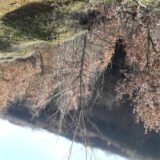 Nastavlja se potraga za nestalom staricom u Poljanici kod Vranja 4