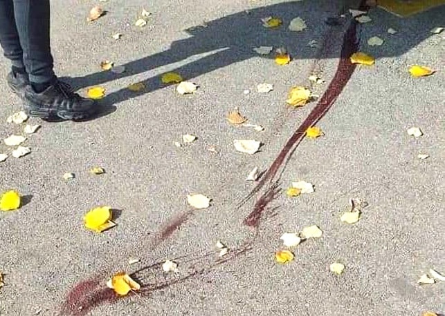 Biljana iz Smederevske Palanke tvrdi da joj predsednik opštine preti otkazom zbog ubijenih pasa i protesta 7 Biljana iz Smederevske Palanke tvrdi da joj predsednik opštine preti otkazom zbog ubijenih pasa i protesta 7