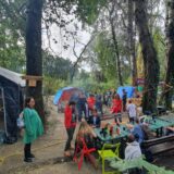 “Nadamo se da neće učiniti nikakvu glupost": Novosadski ekolozi i aktivisti tvrde da su primećene mašine "Milenijum tima" blizu Šodroša 5